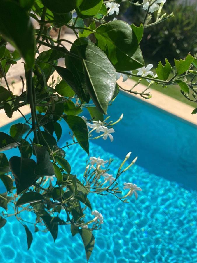 Beautiful Villa With Pool, Barbecue, And Garden ฮาเวอา ภายนอก รูปภาพ
